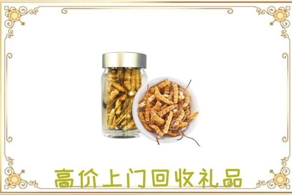 疏附周边回收虫草